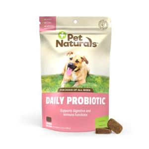 Pet Naturals Daily Probiotic for Dogs, Duck Flavor, 160 Chews - 120M CFUs Pre and Probiotics for Dogs Digestive Health, Gut Health, Immune Support, Diarrhea, Allergies and Itching