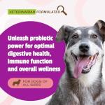 Pet Naturals Daily Probiotic for Dogs, Duck Flavor, 160 Chews - 120M CFUs Pre and Probiotics for Dogs Digestive Health, Gut Health, Immune Support, Diarrhea, Allergies and Itching