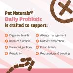 Pet Naturals Daily Probiotic for Dogs, Duck Flavor, 160 Chews - 120M CFUs Pre and Probiotics for Dogs Digestive Health, Gut Health, Immune Support, Diarrhea, Allergies and Itching