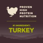 Wellness CORE Dry Dog Food, Small Breed, Grain-Free, High Protein, Natural, Healthy Weight Turkey & Chicken Recipe, (4-Pound Bag)