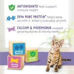 Purina Kitten Chow Dry Cat Food