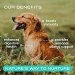 Native Pet Colostrum for Dogs – Bovine Colostrum Powder – Allergy Relief, Immune Support & Itchy Skin Treatment – Dog Multivitamins for Skin & Gut Health – Puppy Milk Replacement & Prebiotic -120 ct.