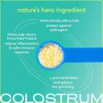 Native Pet Colostrum for Dogs – Bovine Colostrum Powder – Allergy Relief, Immune Support & Itchy Skin Treatment – Dog Multivitamins for Skin & Gut Health – Puppy Milk Replacement & Prebiotic -120 ct.