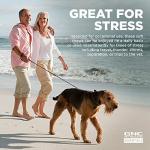 GNC Pets Essentials Calming Soft Chew Dog Supplements, Anxiety Relief Dog Calming Chews in Bacon Flavor for Adult Dogs & Puppies, Calm and Relaxation Treats for All Breeds, 60 Count