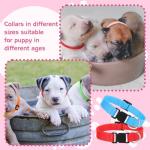 GGSTDDUP 36 Pcs Puppy Collar and Leash Set, Adjustable Colorful Dog Collar and Leash Quick Release Clip Buckle Puppy Collars Whelping Collar for Small Medium Dogs Walking Training