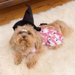Fitwarm Halloween Ghost Dog Dress, Funny Dog Halloween Costumes, Doggy Clothes for Small Dogs Girl, Pet Apparel, Pink, White, Black, Small