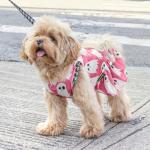 Fitwarm Halloween Ghost Dog Dress, Funny Dog Halloween Costumes, Doggy Clothes for Small Dogs Girl, Pet Apparel, Pink, White, Black, Small