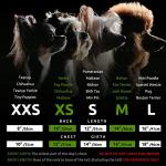 Fitwarm Halloween Ghost Dog Dress, Funny Dog Halloween Costumes, Doggy Clothes for Small Dogs Girl, Pet Apparel, Pink, White, Black, Small