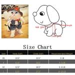 NACOCO Cowboy Dog Costume with Hat - Blue Cat & Small Dog Halloween Costume (Small)