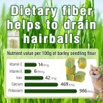 HavenJanny Freezed-Dried Cat Grass Treats, Catgrass Egg Yolk Duo Bites, Cat Dental Treats for Hairball Control and Healthy Coat, Cats Teething Stick (60g, EggYolk)