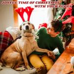 LSSYYQQ Dog Toys Squeaky Interactive Puppy Teething Chew Toy Deer Shape with Crinkle Sound Paper Tail Stuffed PP Cotton,Keep Them Busy, for Large Medium Small Breeds Indoor Play