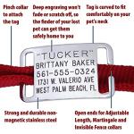 Boomerang Tags Dog Tags Engraved for Pets - Lasts Your Pets Lifetime - Silent Pet Tag, Dog Name Tag Personalized, Durable Stainless Steel Custom ID (Open End Large for 1 Inch Snap Style Collars)