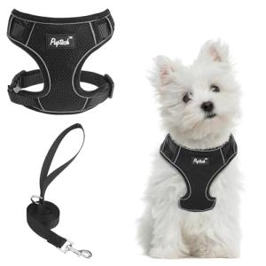 PUPTECK Small Dog Harness and Leash Set, No Pull Adjustable Puppy Cat Harness, Reflective Soft Mesh Pet Vest Small Sized