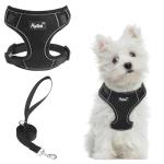 PUPTECK Small Dog Harness and Leash Set, No Pull Adjustable Puppy Cat Harness, Reflective Soft Mesh Pet Vest Small Sized