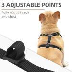 PUPTECK Small Dog Harness and Leash Set, No Pull Adjustable Puppy Cat Harness, Reflective Soft Mesh Pet Vest Small Sized