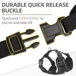 PUPTECK Small Dog Harness and Leash Set, No Pull Adjustable Puppy Cat Harness, Reflective Soft Mesh Pet Vest Small Sized