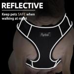 PUPTECK Small Dog Harness and Leash Set, No Pull Adjustable Puppy Cat Harness, Reflective Soft Mesh Pet Vest Small Sized