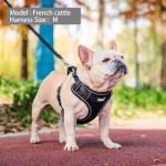 PUPTECK Small Dog Harness and Leash Set, No Pull Adjustable Puppy Cat Harness, Reflective Soft Mesh Pet Vest Small Sized