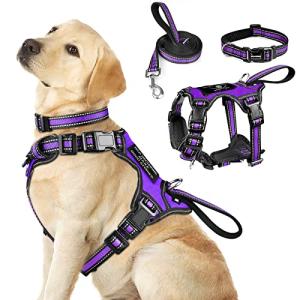 WINSEE Pet Harness Collar and Leash Set, All-in-one Reflective Dog Harness No Pull with Adjustable Buckles for Puppies, Small, Medium, Large, and Extra-Large Dogs (Large, Purple)