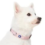 Blueberry Pet Essentials Matching Dog Collar & Leash Set | Pastel Reflective Adjustable Collar with 4 ft Lead for Large Dogs, Baby Pink