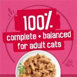 Purina Friskies Gravy Wet Cat Food Variety Pack, Surfin’ and Turfin’ Prime Filets Favorites - 48 ct. Can