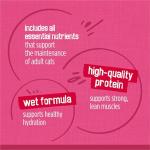 Purina Friskies Gravy Wet Cat Food Variety Pack, Surfin’ and Turfin’ Prime Filets Favorites - 48 ct. Can