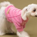 Fitwarm 3 Pack Classic Fleece Dog Sweater, Turtleneck Dog Sweatshirt, Dog Winter Clothes for Small Dogs Girl, Pet Pullover Jumper, Cat Apparel, Pink, Rose, Baby Pink, Medium