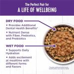 Wellness Complete Health Gravy Adult Wet Cat Food, Natural, Protein-Rich, Grain Free, 5.5 Ounce, 12 Pack, (Chicken & Tuna Dinner)