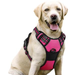 rabbitgoo Dog Harness No Pull with 2 Leash Clips, Adjustable Soft Padded, Reflective Oxford No Choke Pet Vest with Easy Control Handle for Large Dogs, Hot Pink, L
