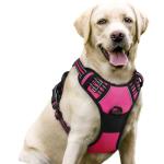 rabbitgoo Dog Harness No Pull with 2 Leash Clips, Adjustable Soft Padded, Reflective Oxford No Choke Pet Vest with Easy Control Handle for Large Dogs, Hot Pink, L