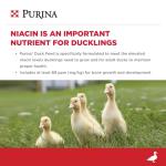 Purina | Nutritionally Complete Duck Feed for All Life-Stages | 5 Pound (5 lb.) Bag