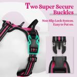 rabbitgoo Dog Harness No Pull with 2 Leash Clips, Adjustable Soft Padded, Reflective Oxford No Choke Pet Vest with Easy Control Handle for Large Dogs, Hot Pink, L