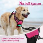 rabbitgoo Dog Harness No Pull with 2 Leash Clips, Adjustable Soft Padded, Reflective Oxford No Choke Pet Vest with Easy Control Handle for Large Dogs, Hot Pink, L