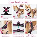 rabbitgoo Dog Harness No Pull with 2 Leash Clips, Adjustable Soft Padded, Reflective Oxford No Choke Pet Vest with Easy Control Handle for Large Dogs, Hot Pink, L