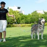 JSXD Dog Leash and Collar Set with AirTag Holder for Small Medium Large Dogs,5 FT Double Rope Leashes with Adjustable Reflective Soft Padded Nylon Pet Collars (Purple, Small)