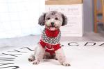 Vehomy Dog Christmas Sweaters Pet Winter Knitwear Xmas Clothes Classic Warm Coats Reindeer Snowflake Argyle Sweater for Kitty Puppy Cat-S