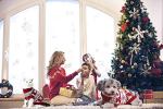 Vehomy Dog Christmas Sweaters Pet Winter Knitwear Xmas Clothes Classic Warm Coats Reindeer Snowflake Argyle Sweater for Kitty Puppy Cat-S