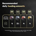 Cesar Wet Dog Food Loaf in Sauce Rotisserie Chicken, Filet Mignon, Angus Beef, and Ham & Egg Flavors Variety Pack, 3.5 oz. Easy Peel Trays (24 Count, Pack of 1)