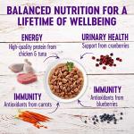 Wellness Healthy Indulgence Morsels Adult Wet Cat Food, Natural, Protein-Rich, Grain-Free, 3 Ounce Pouch, 8 Pack, (Morsels Variety Pack)