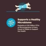 Wellness CORE Digestive Health Dry Dog Food, Wholesome Grains, Natural, Recipe for Dogs with Sensitive Stomachs, Whitefish & Brown Rice, (22-Pound Bag)