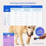 GutWell Stress Support - Dog Anxiety Relief & Calming Treats - Tasty Food Topper for Dog Stress and Anxiety Relief - Support Gut-Brain Axis with Triple-biotic Blend & Magnesium - 60 Scoops