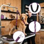 Urciwos Pet Grooming Loop and Belly Strap for Dogs with Extension Strap, Nylon Restraint Noose Adjustable Slip Rope Dog Grooming Supplies for Dog Grooming Arm and Pet Grooming Table - 3 Pack