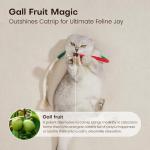 Potaroma Cat Toys Chew Ropes 3Pcs with Refillable Natural Catnip, Safe Teeth Cleaning Toy for Indoor Kittens, Interactive Cat Nip Kitty Toys for All Breeds 19.5 Inches