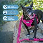 Best Pet Supplies Voyager Mesh Dog Breathable Harness Reflective Stitching, All Weather Adjustable for Walking Training, or Running - Heavy Duty & Durable, Harness (Fuchsia), S