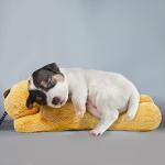 HonourHope Dog Heartbeat Toy for Anxiety Relief, Soft Plush Pet Calming Puppy Behavioral Training Aid, Companion Pillow for Dogs, Cats, and Kitties