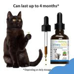 Pet Wellbeing Urinary Gold for Cats - Vet-Formulated Multi-Herb Urinary Tract Support - Feline Bladder Health & Urinary System Wellness - Holistic Cat Supplement - Liquid Formula 2 oz (59ml)