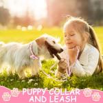 3 Pack Dog Collar and Leash Set, Puppy Collar and Leash Adjustable Floral Dog Collars for Small Dogs Soft Pet Collar for Puppy Small Dogs