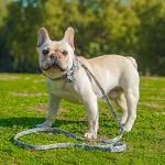 Hilkycton Plaid Dog Collar Leash Set with Bow Tie Adjustable Cute Puppy Collar with Durable Metal Buckle Girls Boys Dog Collar for Small Medium Large Dogs Vintage-M