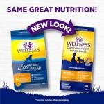 Wellness Natural Pet Food Complete Health Natural Dry Large Breed Puppy Food, Chicken, Salmon & Rice, 30-Pound Bag