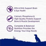 Wellness Natural Pet Food Complete Health Natural Dry Large Breed Puppy Food, Chicken, Salmon & Rice, 30-Pound Bag